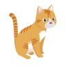 Cat1